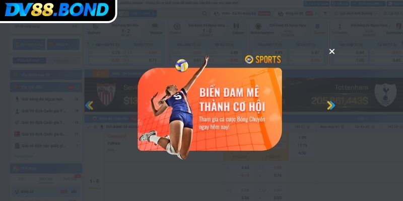 Sảnh K Sports DV88 với tính linh hoạt và tiện lợi